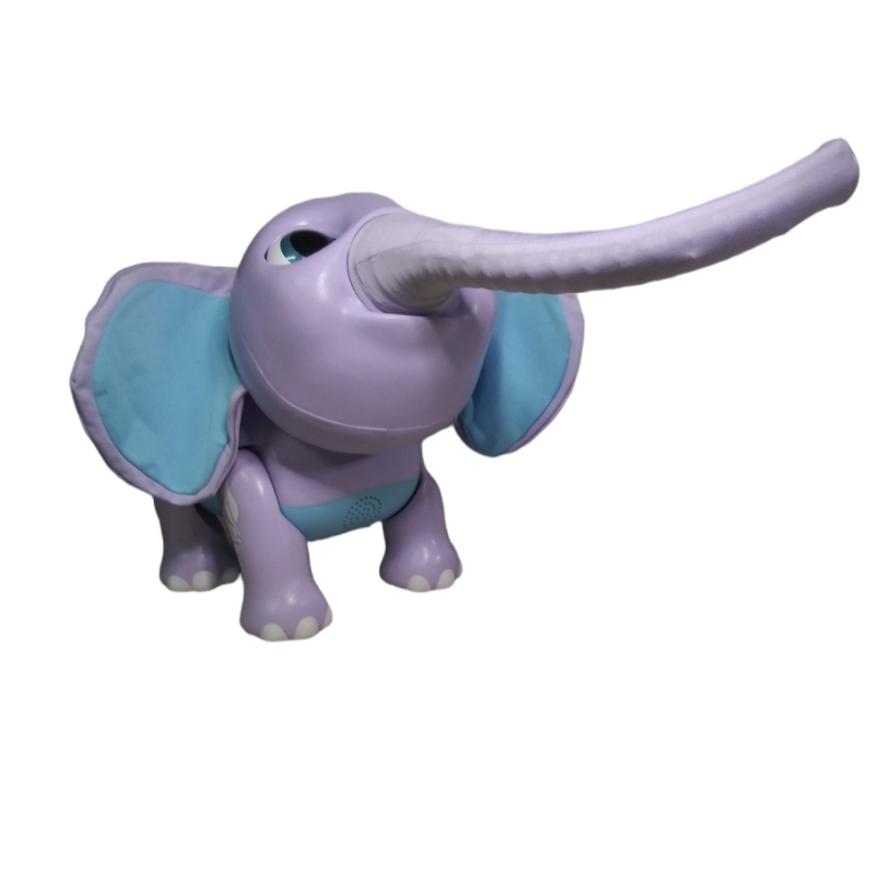 Juno my baby elephant